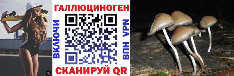 Псилоцибиновые грибы GOLDEN TEACHER  дарнет шоп  Зеленокумск 